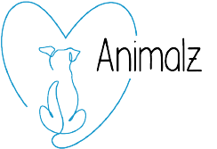 Education et comportement canin