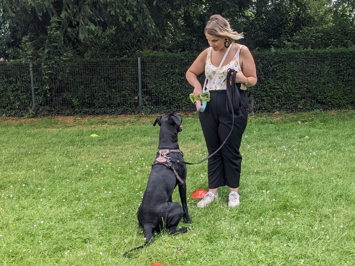 C&rsquo;est quoi un chien &laquo;&nbsp;bien éduqué&nbsp;&raquo; ?